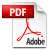 Adobe Acrobat Version of Document